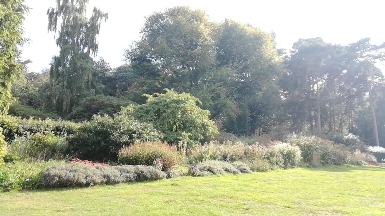 Many Worlds Meet - Eurostar, Wimbledon 30 Mins, Central London, Gatwick 15 Mins - Spacious, Sleeps Up To 16 Plus Cot - Free Wifi, Parking - Next To Lloyd Park, Great For Families, Walkers, Relocators - Ideal For Contractors Croydon Bagian luar foto