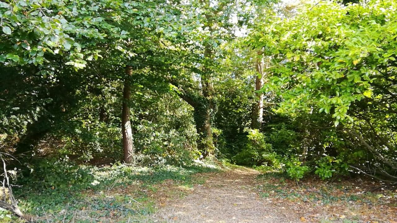 Many Worlds Meet - Eurostar, Wimbledon 30 Mins, Central London, Gatwick 15 Mins - Spacious, Sleeps Up To 16 Plus Cot - Free Wifi, Parking - Next To Lloyd Park, Great For Families, Walkers, Relocators - Ideal For Contractors Croydon Bagian luar foto