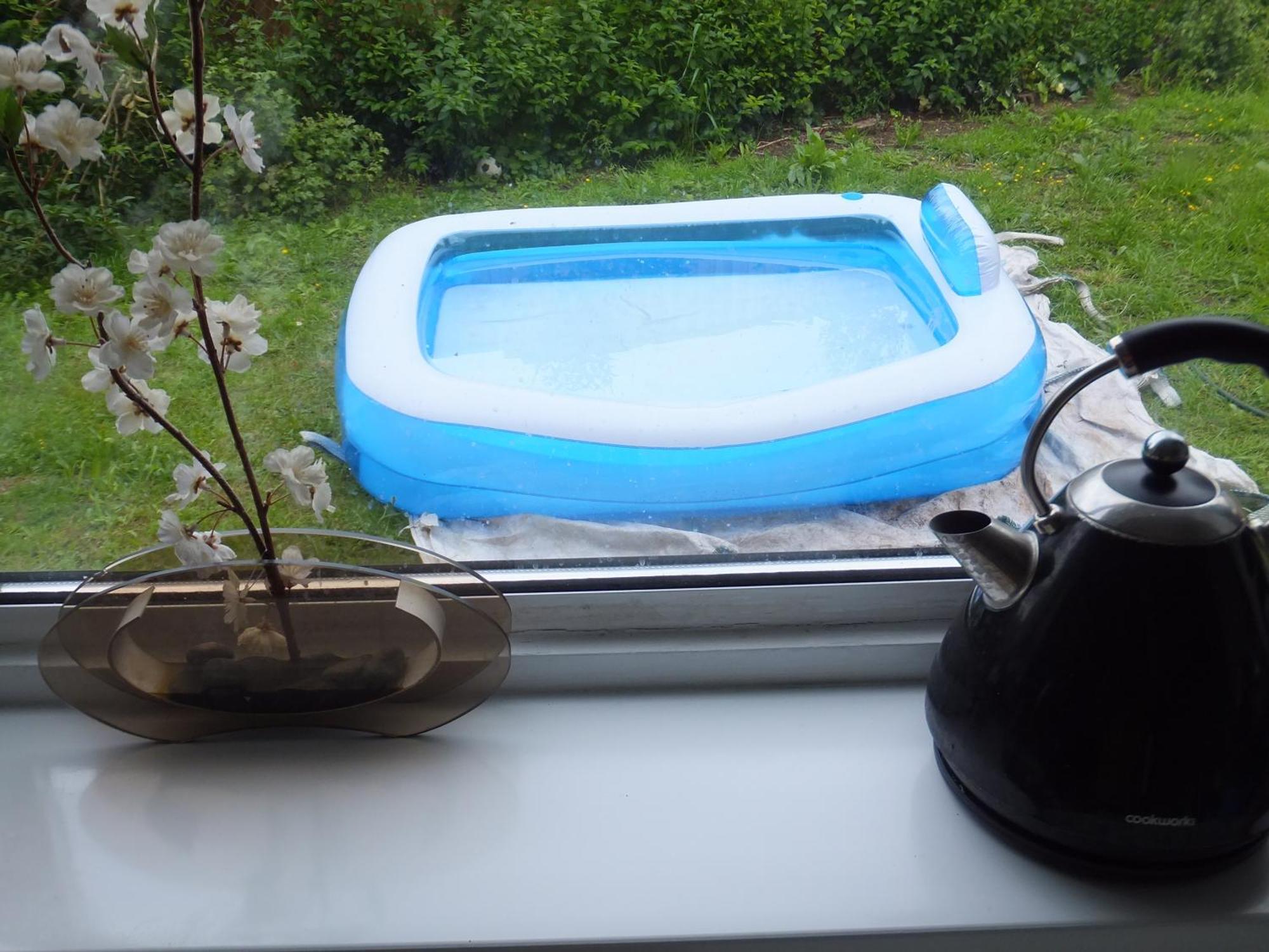 Many Worlds Meet - Eurostar, Wimbledon 30 Mins, Central London, Gatwick 15 Mins - Spacious, Sleeps Up To 16 Plus Cot - Free Wifi, Parking - Next To Lloyd Park, Great For Families, Walkers, Relocators - Ideal For Contractors Croydon Bagian luar foto